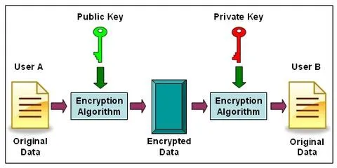 ECC vs RSA in SSL/TLS: Understanding Their Differences and Choosing the Right Algorithm 3 What Is ECC in Cryptography and SSL - Softwarecosmos.com
