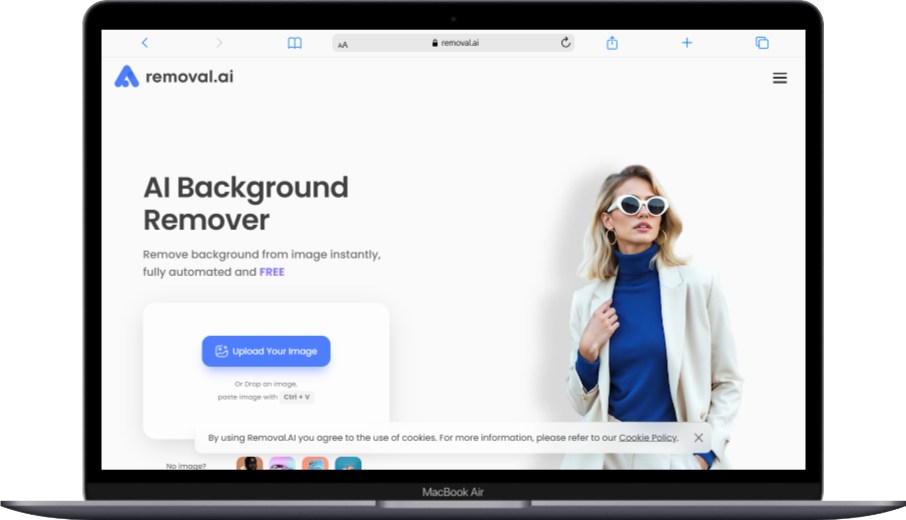 Removal.AI – Bulk Processing Specialist