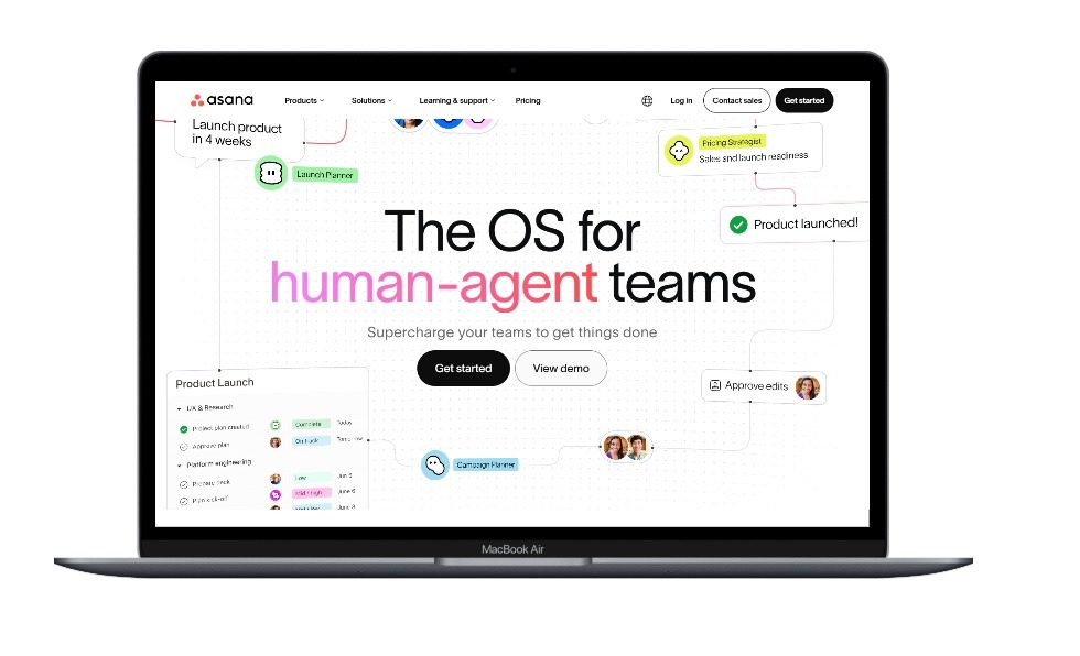 What Is Asana
