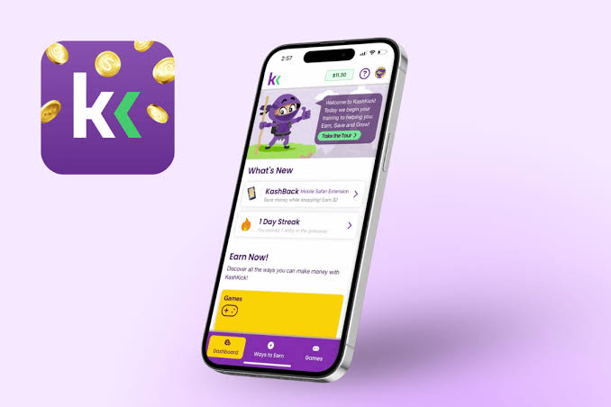 KashKick Pros and Cons - Softwarecosmos.com